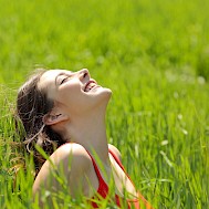 Fot&oacute;: Shutterstock