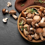 Fot&oacute;: Shutterstock