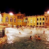 Fot&oacute;: Shutterstock