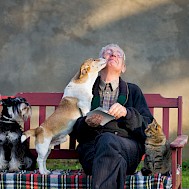 Fot&oacute;: Shutterstock