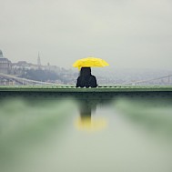 Fot&oacute;: Shutterstock