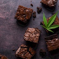 Fot&oacute;: Shutterstock