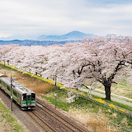 Fot&oacute;: Shutterstock