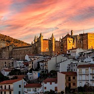 Fot&oacute;: Shutterstuck