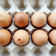 Fot&oacute;: Shutterstock