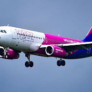 Fot&oacute;: Shutterstock