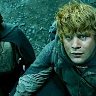 Fot&oacute;: Profim&eacute;dia