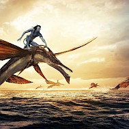 Fot&oacute;: Profim&eacute;dia