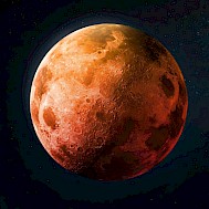 Fot&oacute;: Shutterstock