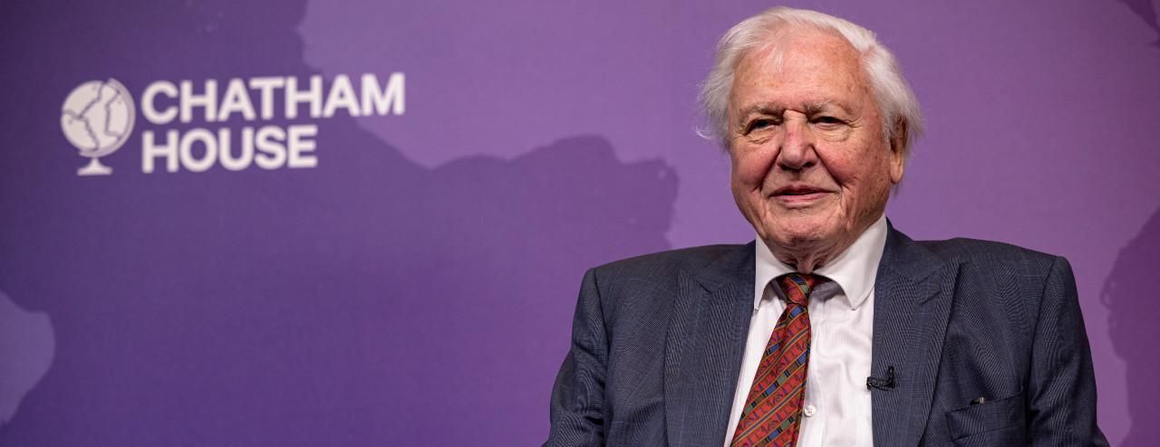 Rob Pinney/Getty Images