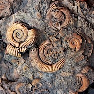 Fot&oacute;: Shutterstock