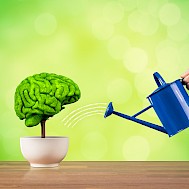 K&eacute;p: Shutterstock