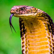 Fot&oacute;: Shutterstock