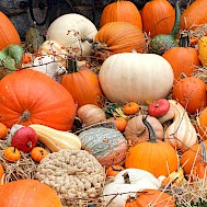 Fot&oacute;: Shutterstock