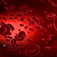 Fot&oacute;: Shutterstock