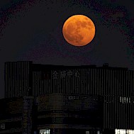 Fot&oacute;: Getty Images/Fred Lee