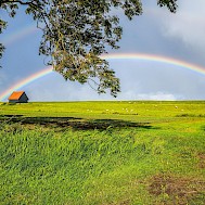 Fot&oacute;: Shutterstock