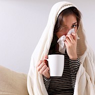 Fot&oacute;: Shutterstock