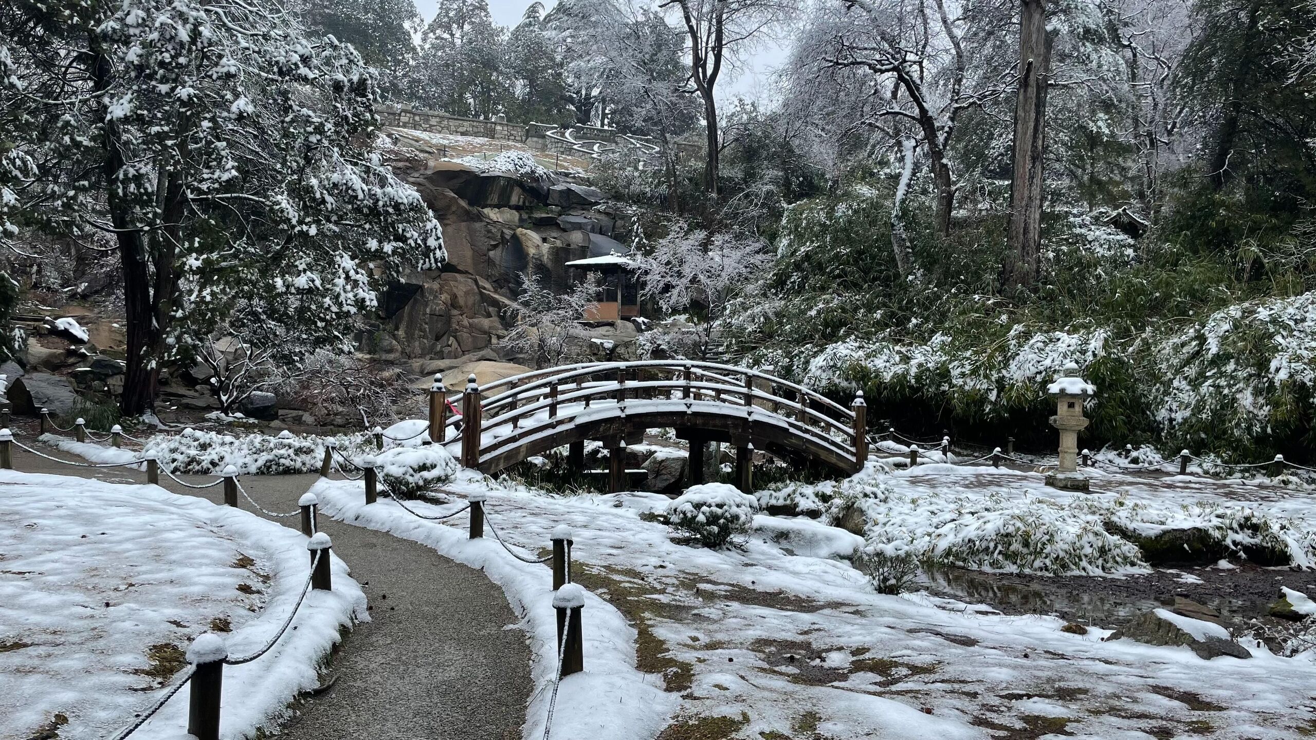 Yuly Shaiou/Unsplash