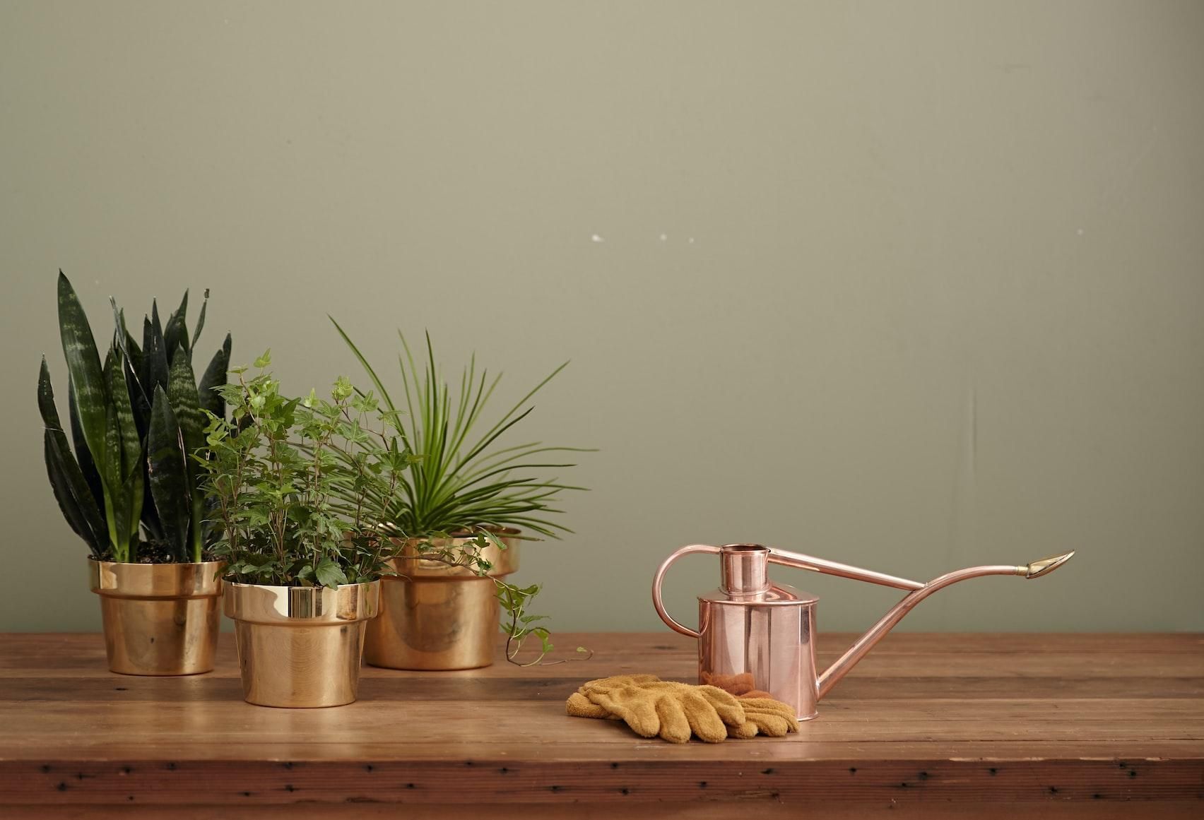 Kaufmann Mercantile / Unsplash 