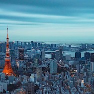 Fot&oacute;: unsplash