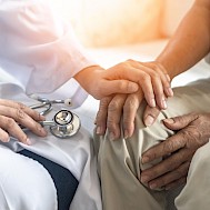 Fot&oacute;: Shutterstock