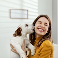 Fot&oacute;: Shutterstock