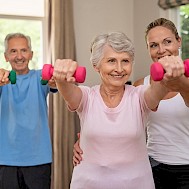 Fot&oacute;: Shutterstock