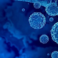 Fot&oacute;: Shutterstock