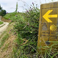 Fot&oacute;: Shutterstock