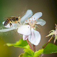 Fot&oacute;: Shutterstock