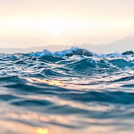 Fot&oacute;: Anastasia Taioglou / unsplash