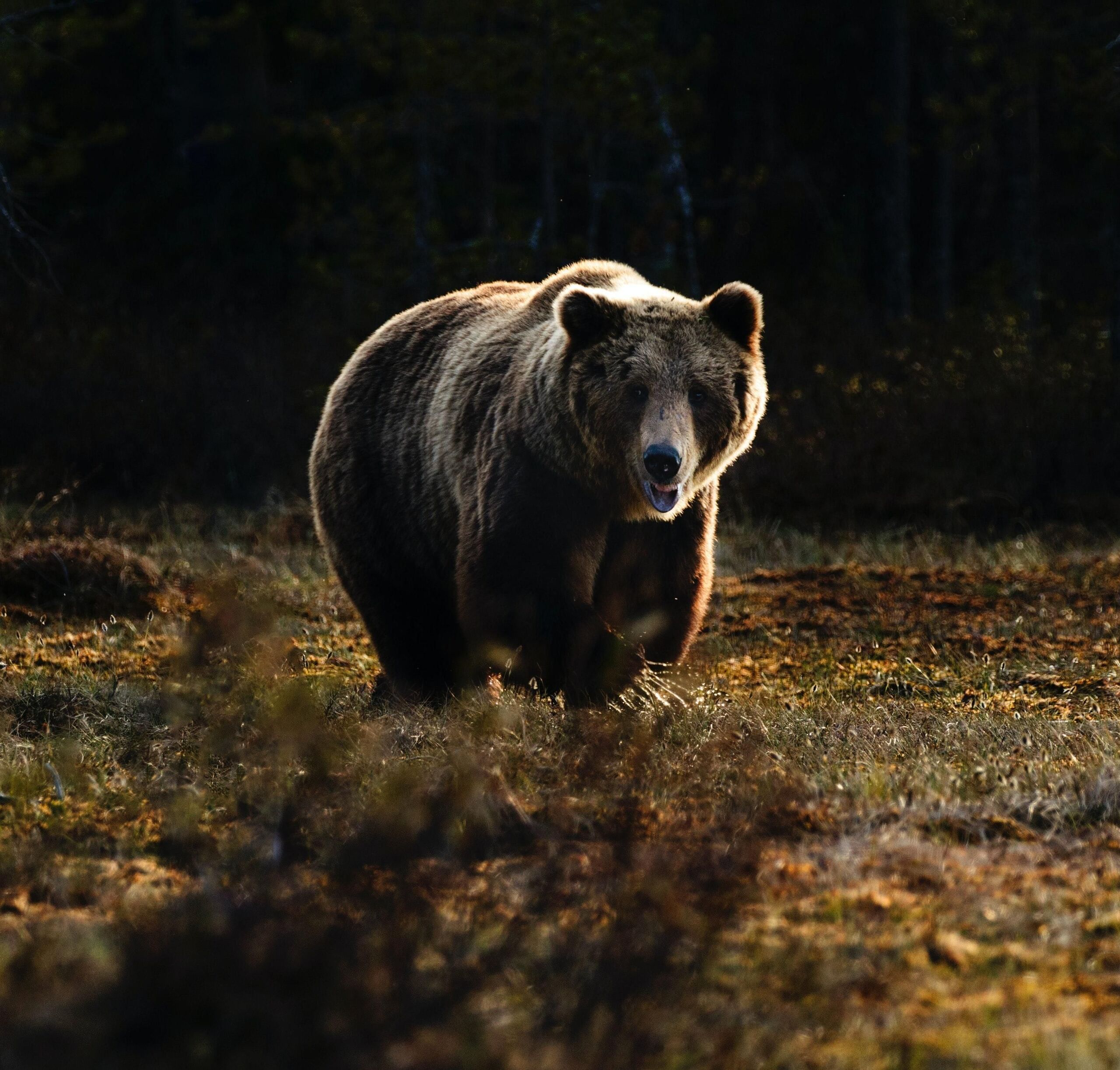  Unsplash/Zdeněk Macháček