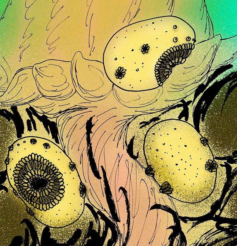 Wikimedia/Apokryltaros