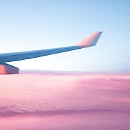 Fot&oacute;: S O C I A L . C U T / unsplash