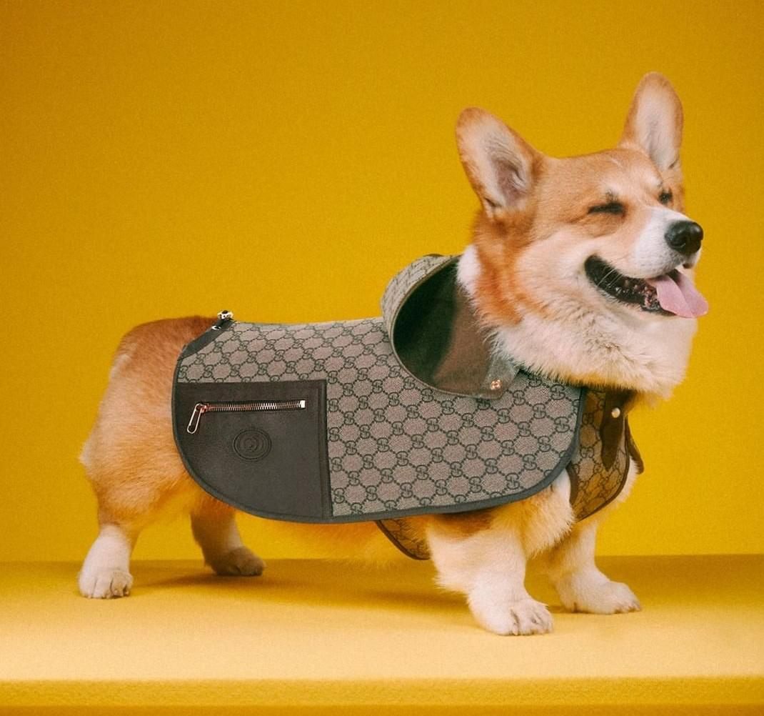 Instagram / Gucci / Max Siedentopf