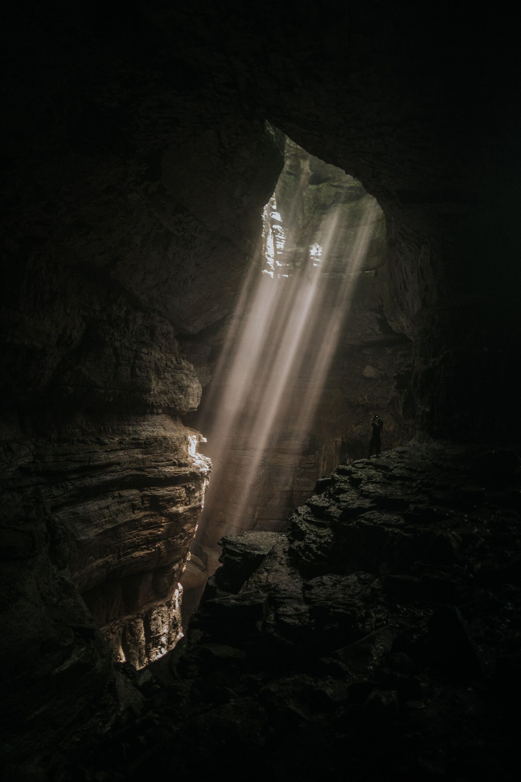 Ivana Cajina/Unsplash