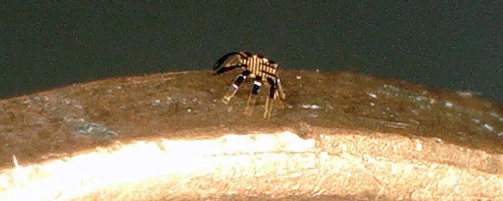 Northwestern University