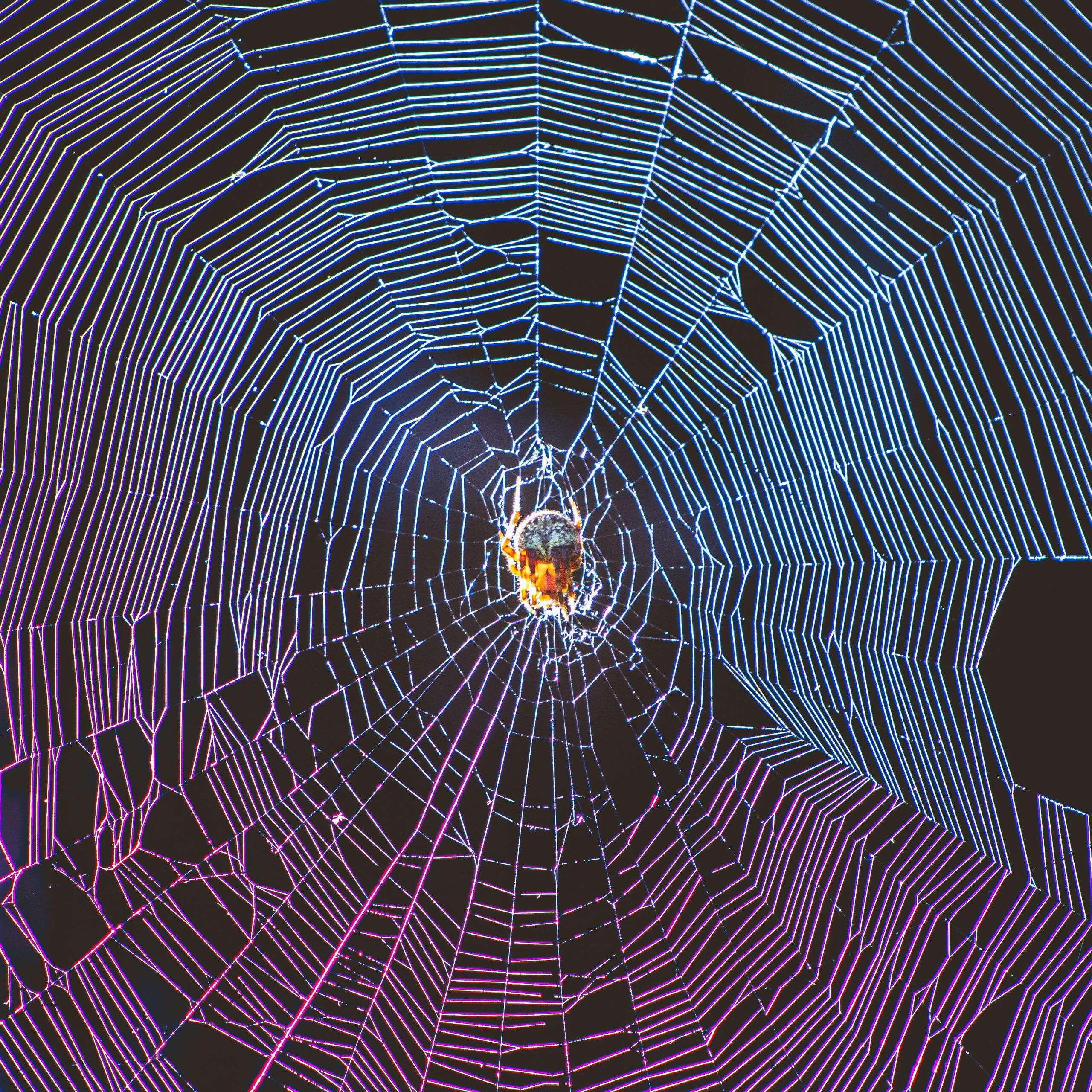 Jason Gardner/Unsplash