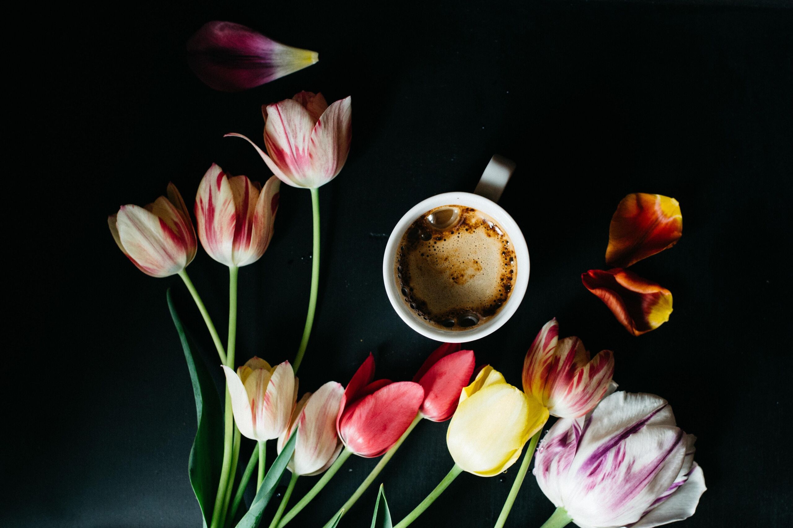 unsplash / Barna Kovács