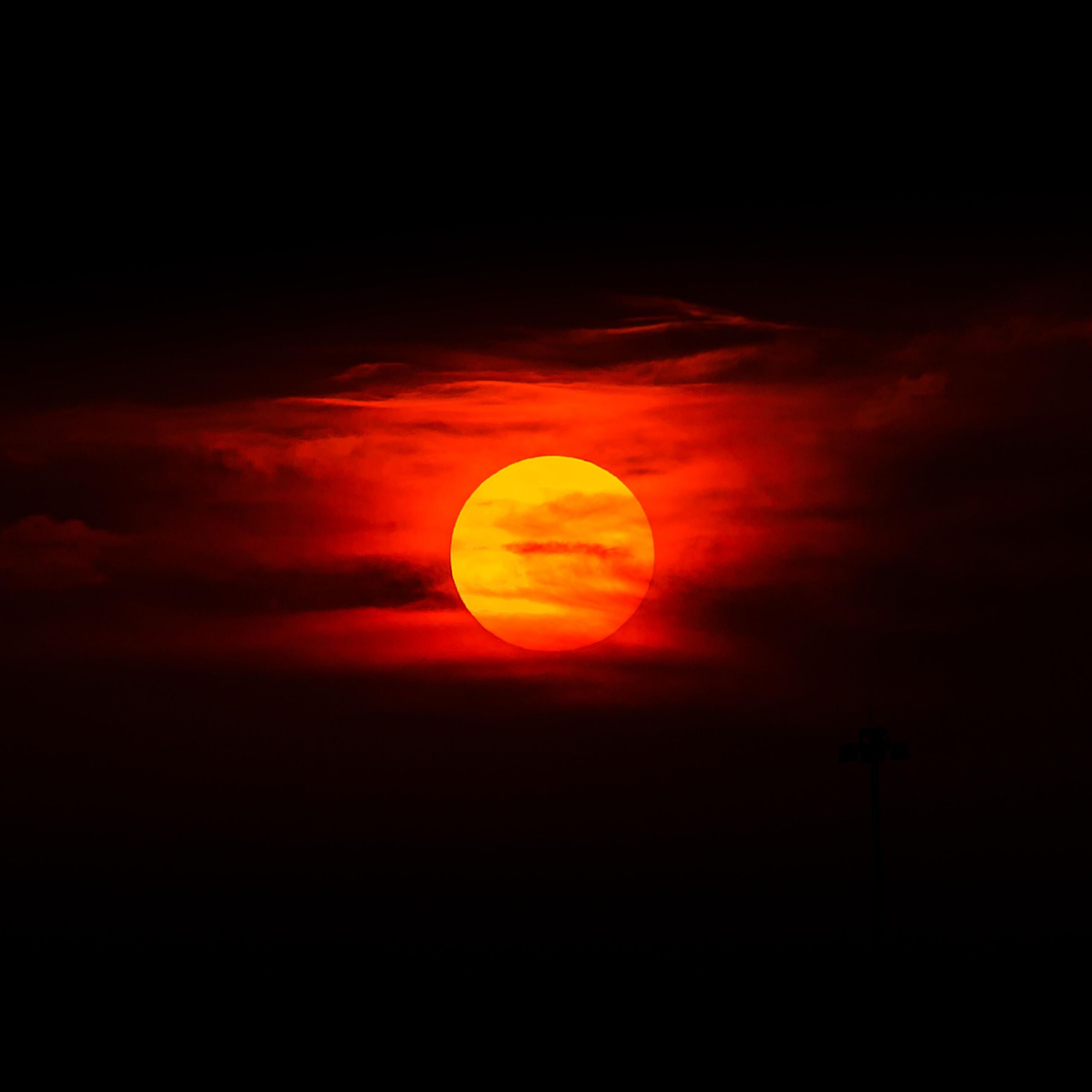 Unsplash/Jared Murray