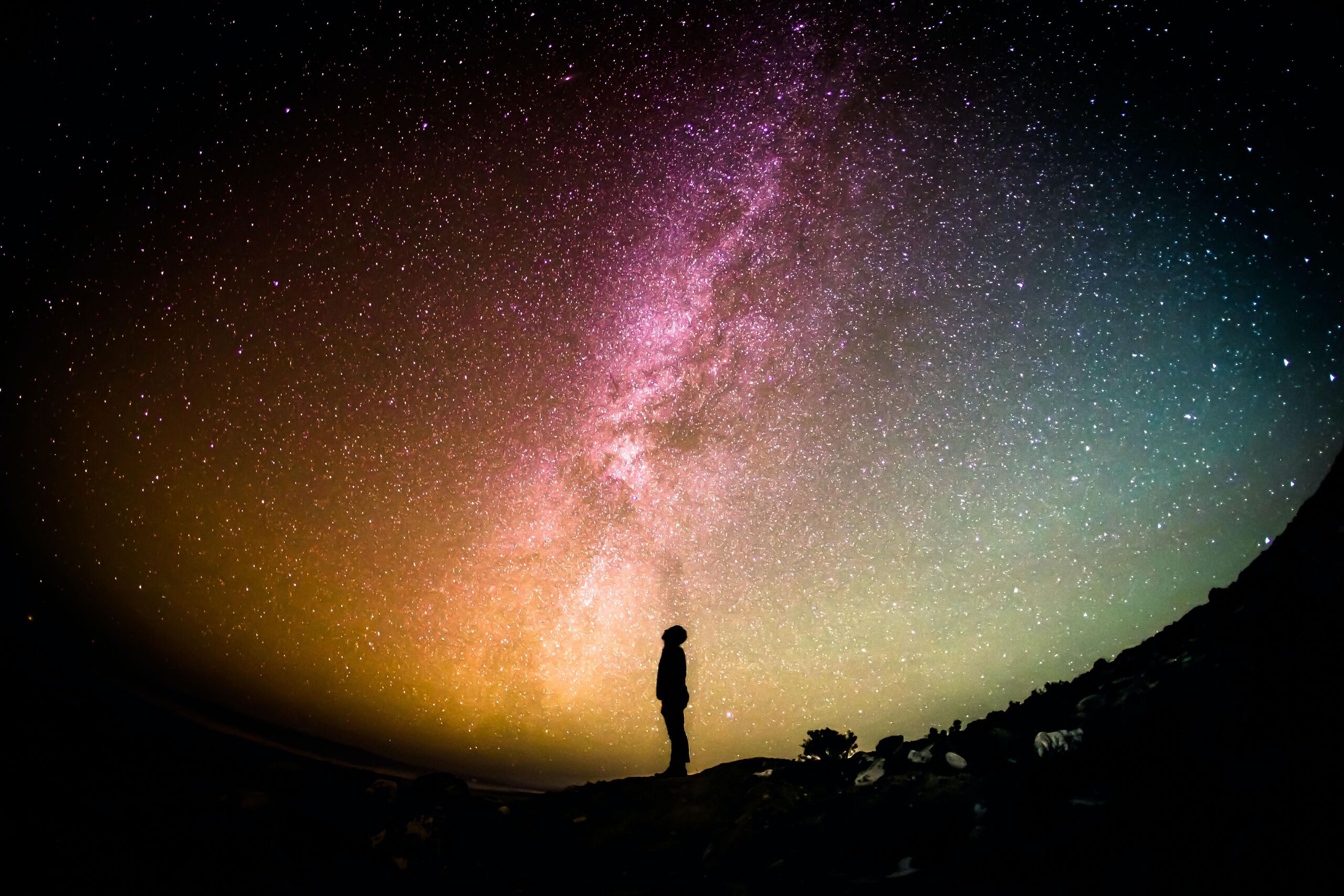 Unsplash/Greg Rakozy
