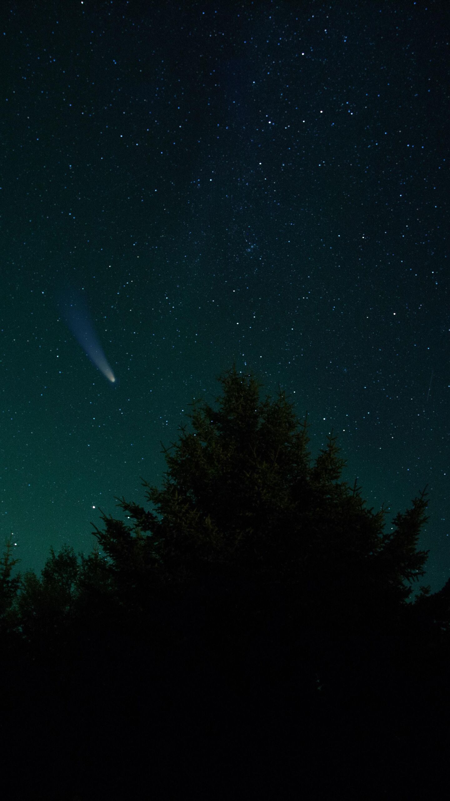  Unsplash/Chris Henry