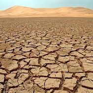 Szahara, DELBO ANDREA/Shutterstock