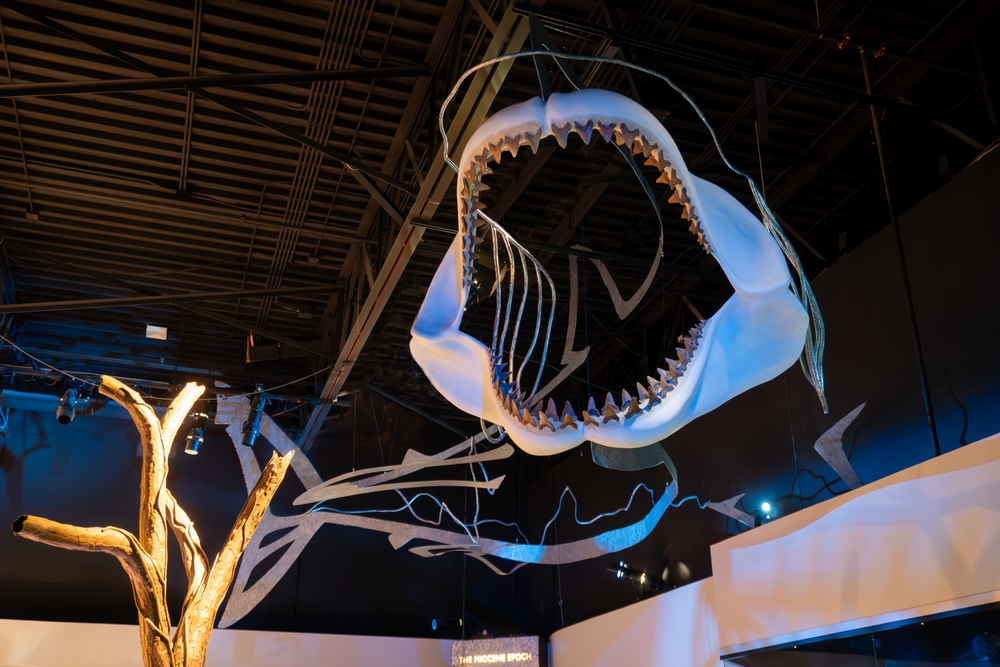 EWY Media/Shutterstock