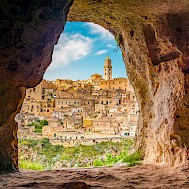 Fot&oacute;: zedspider/Shutterstock