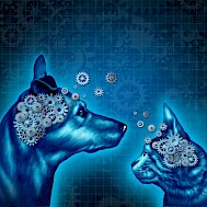 Fot&oacute;: Lightspring/Shutterstock