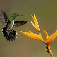 Photo by Zdeněk Mach&aacute;ček on Unsplash