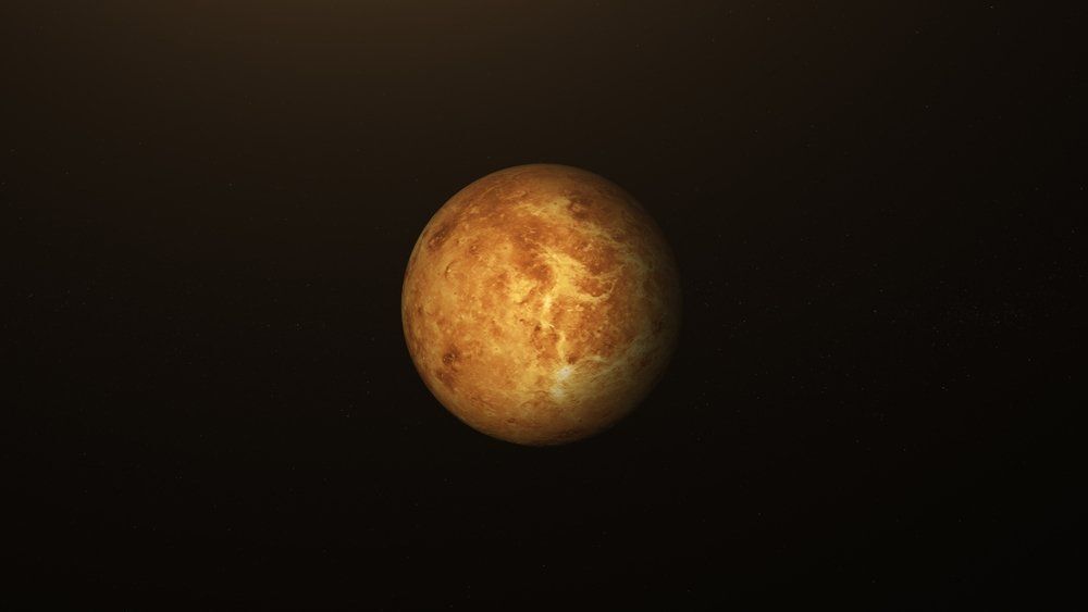 Fotó: Pzykodegoat/Shutterstock