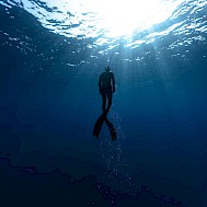 Fot&oacute;: Jag_cz/Shutterstock.com